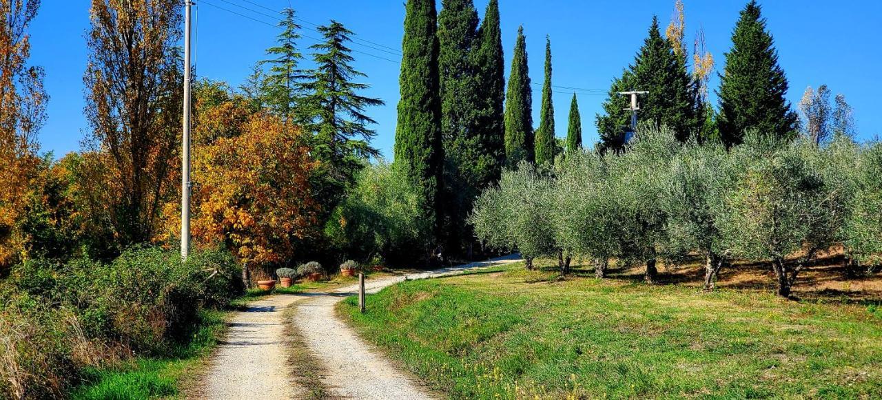 La Volpaia 1521 Villa Barberino di Val dʼElsa Екстериор снимка