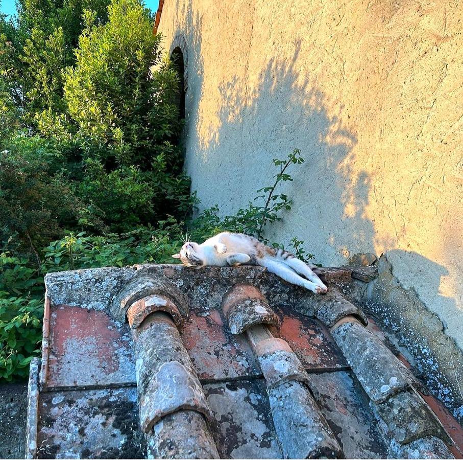 La Volpaia 1521 Villa Barberino di Val dʼElsa Екстериор снимка